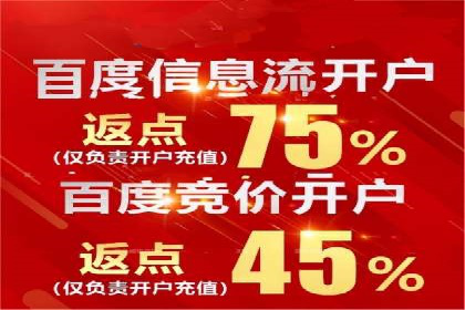 百度竞价排名实战：某电商平台的成功之路